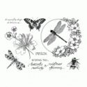 Birds and Butterflies