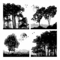 Trees and Leaves
