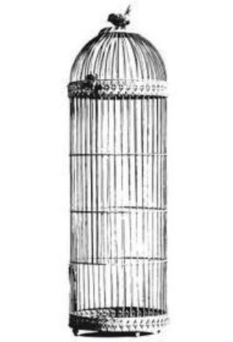 Kaisercraft Clear Stamp-Bird Cage