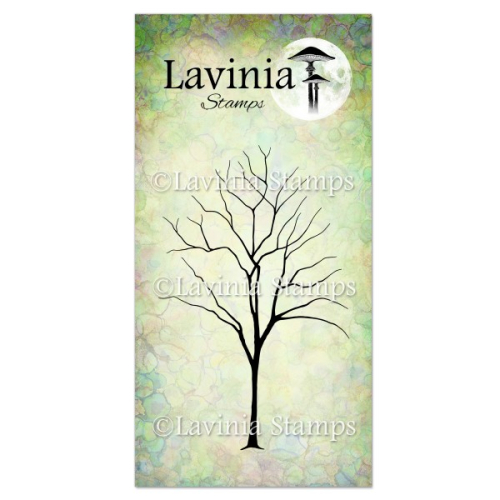 Lavinia Stamp-Elm